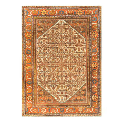 Serapi Collection Area Rug Ultra Soft Washable Rug, Non Slip Area Rug Indoor, Stain Resistant Rugs for Living Room Bedroom Vintage Home Decor
