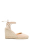 Castañer Carina Espadrilles