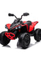 Officially Licensed Can-Am Renegade 24V Kids Ride-On ATV