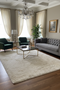 Persian-Inspired. Modern Defined. Turkish Made Rug, size 5' 2" x 7' 2"