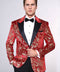 Gold Patterned Over Red Men Stage Tuxedo Blazer - Wessi