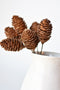 10" Faux Pine Cone Stem Bundle