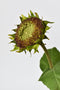 28" Faux Aged Brown Sunflower Stem