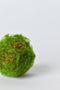 Mossy Orbs/Balls