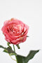 22" Faux Large Rose Bud Stem Cerise / Pink
