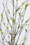 26" Branches with Faux Green Leaves