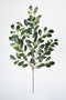 26" Faux Ruscus Leaf Stem