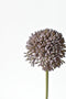 17.5" Faux Purple Allium Spray Stem