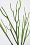 23" Faux Green Pencil Cactus Succulent Stem