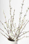 31" Faux Pussy Willow Stem