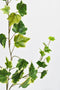 25" Faux Variegated Green Ivy Stem