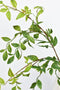 32" Faux Nandina Leaf Stem