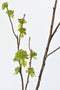 40" Faux Budding Branch Stem