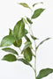 36" Faux Lemon Leaf Branch Stem