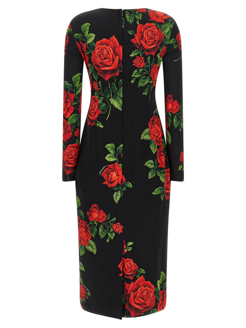 Dolce & Gabbana Rose Longuette Dress