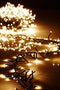 LED Connectable Warm White Cluster Light Garland, w/Timer and Remote