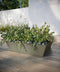 Newport Outdoor Shallow Planter