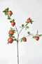 38" Faux Pomegranate Fruit Branch