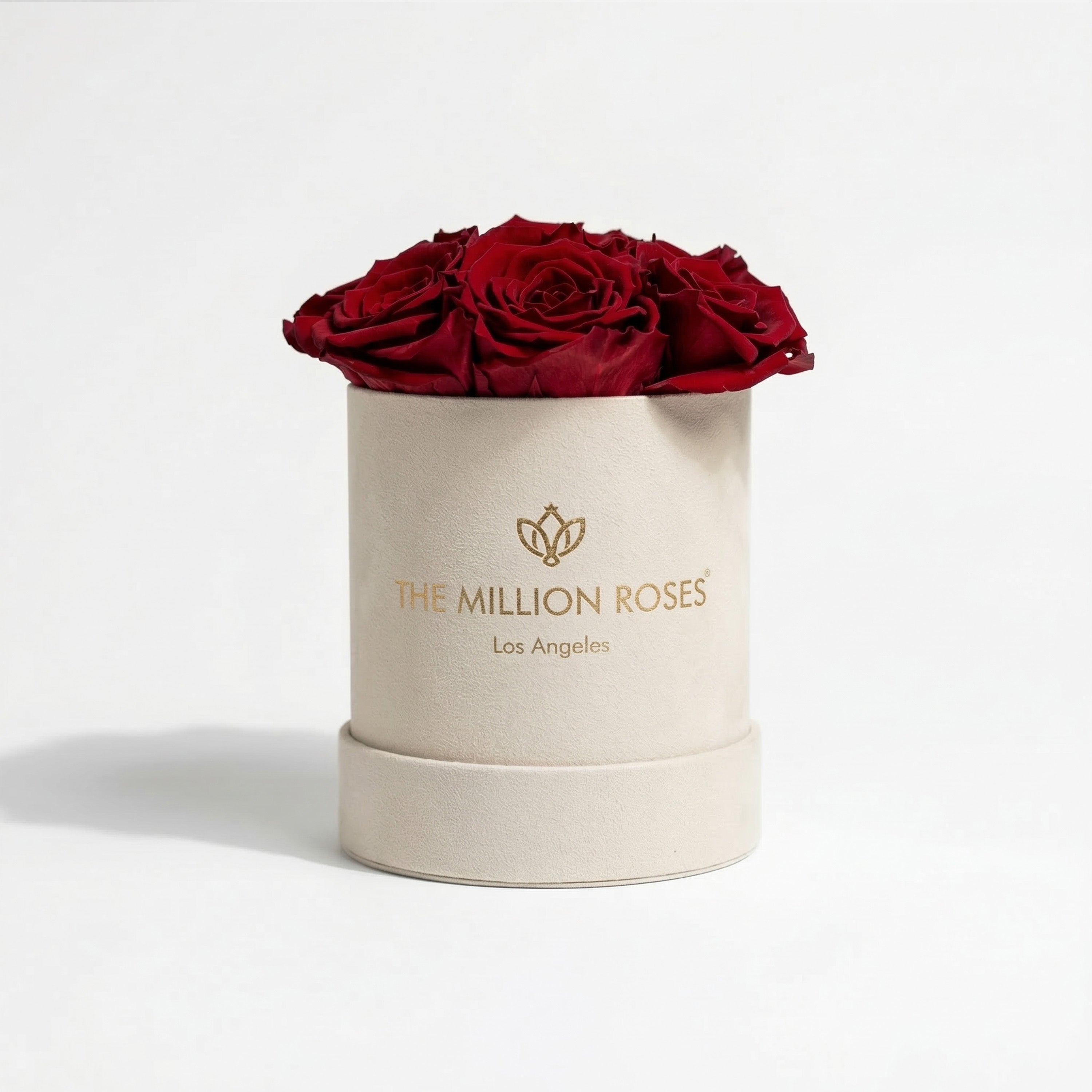 Basic Beige Suede Box | Red Roses