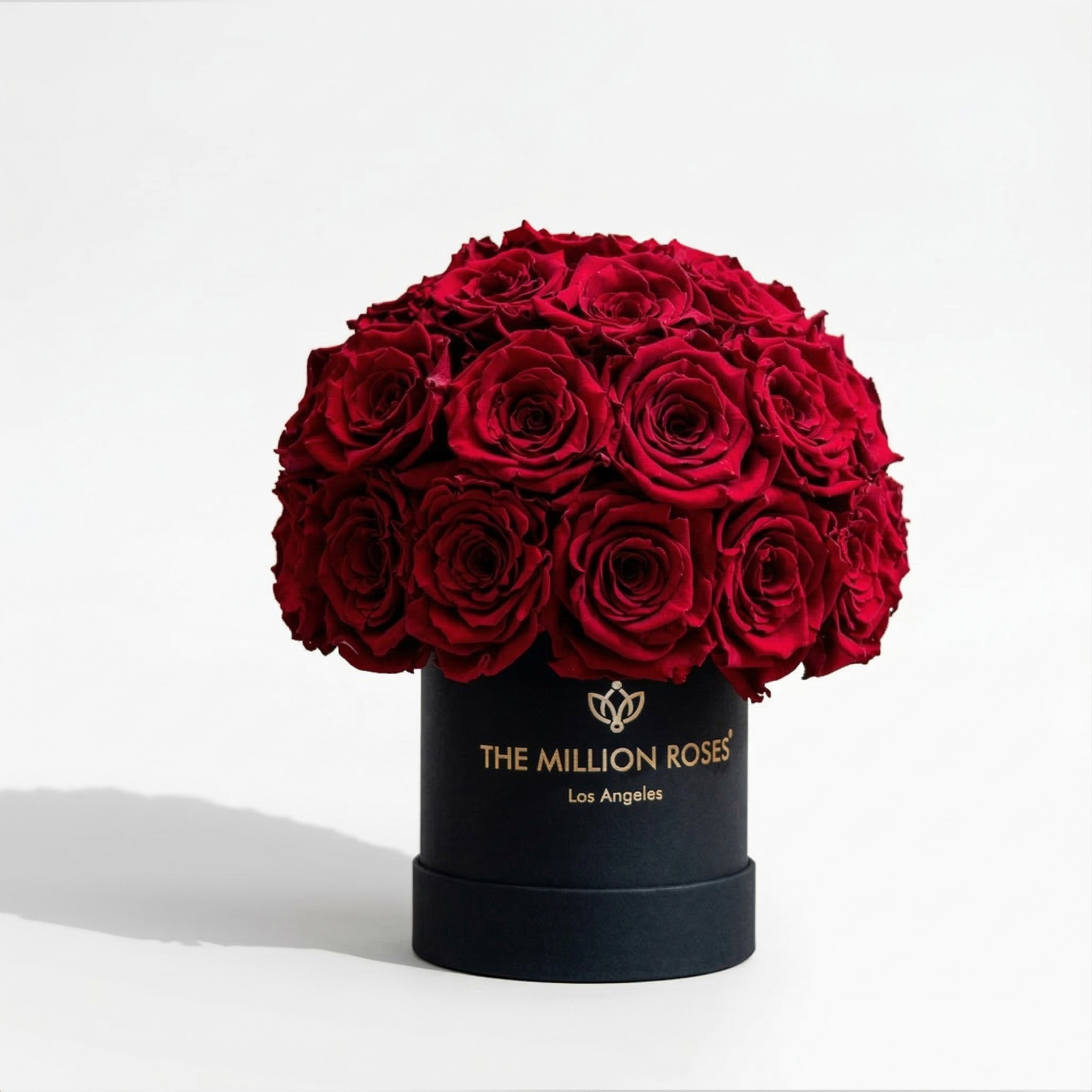 Basic Black Superdome Box | Red Roses
