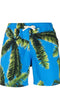 Blue Sky Inn Printed swimming trunks