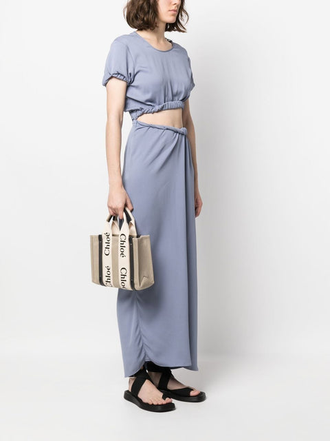 Chloé Chloe Woody Small Linen Tote Bag