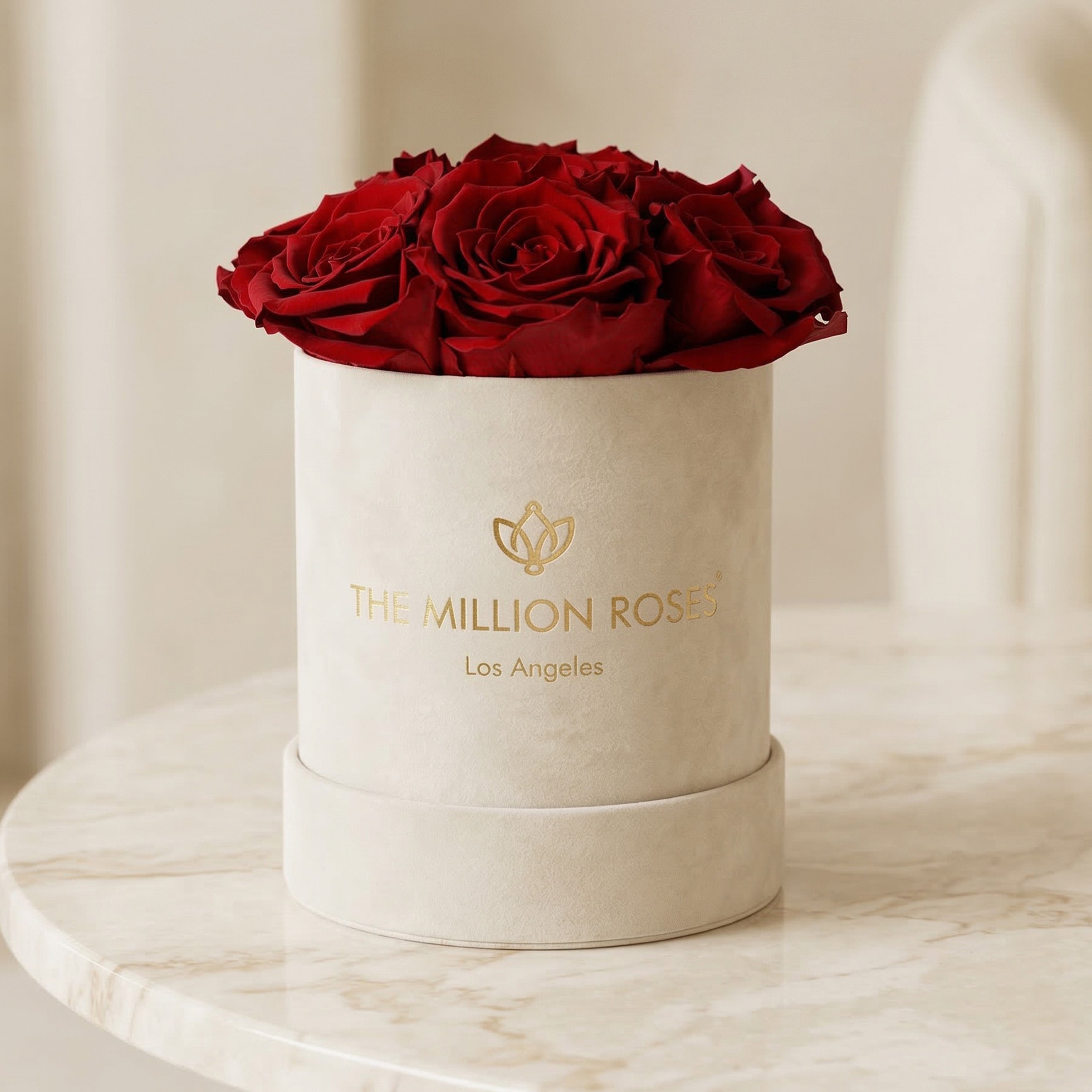 Basic Beige Suede Box | Red Roses