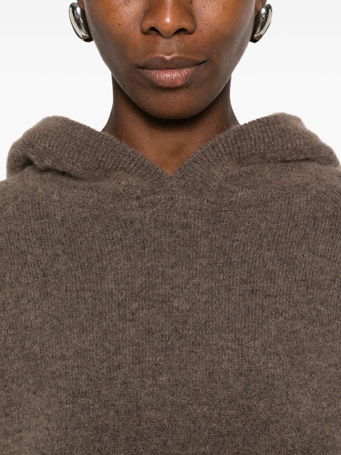 Sosue Brushed Knit Hoodie