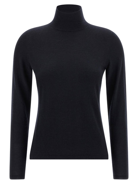 Max Mara Meana Turtleneck