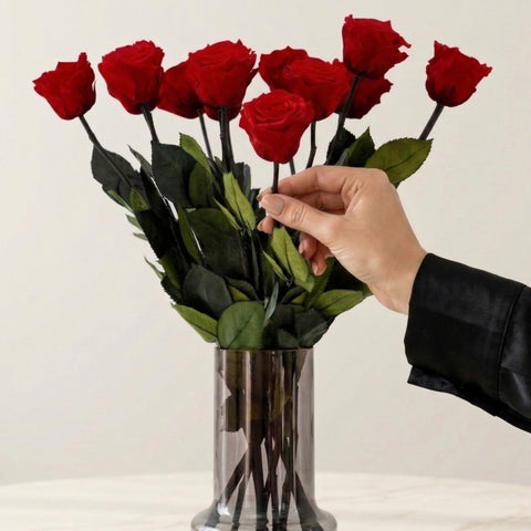Long Stem Roses | Red Roses