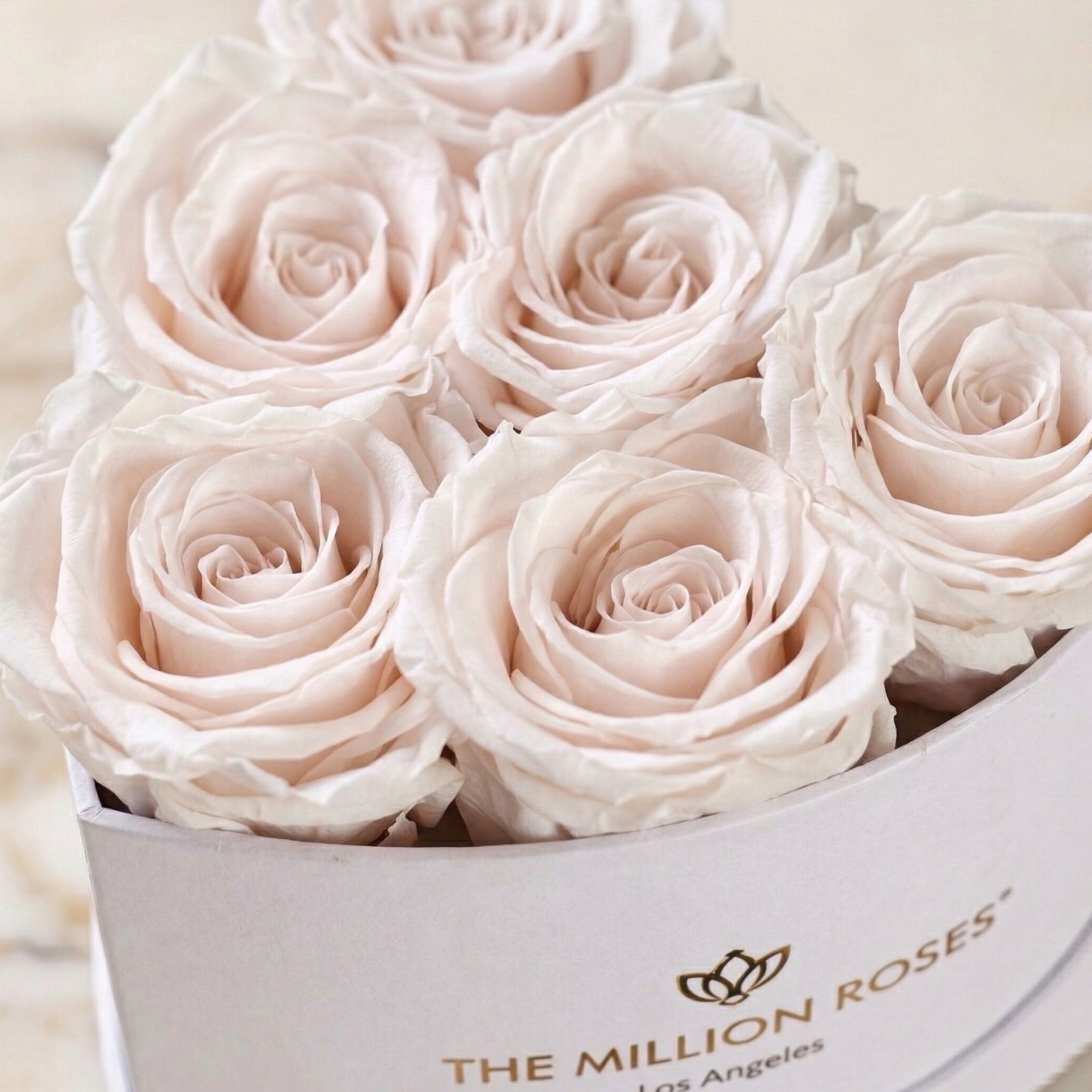 Baby Heart White Box | White Roses