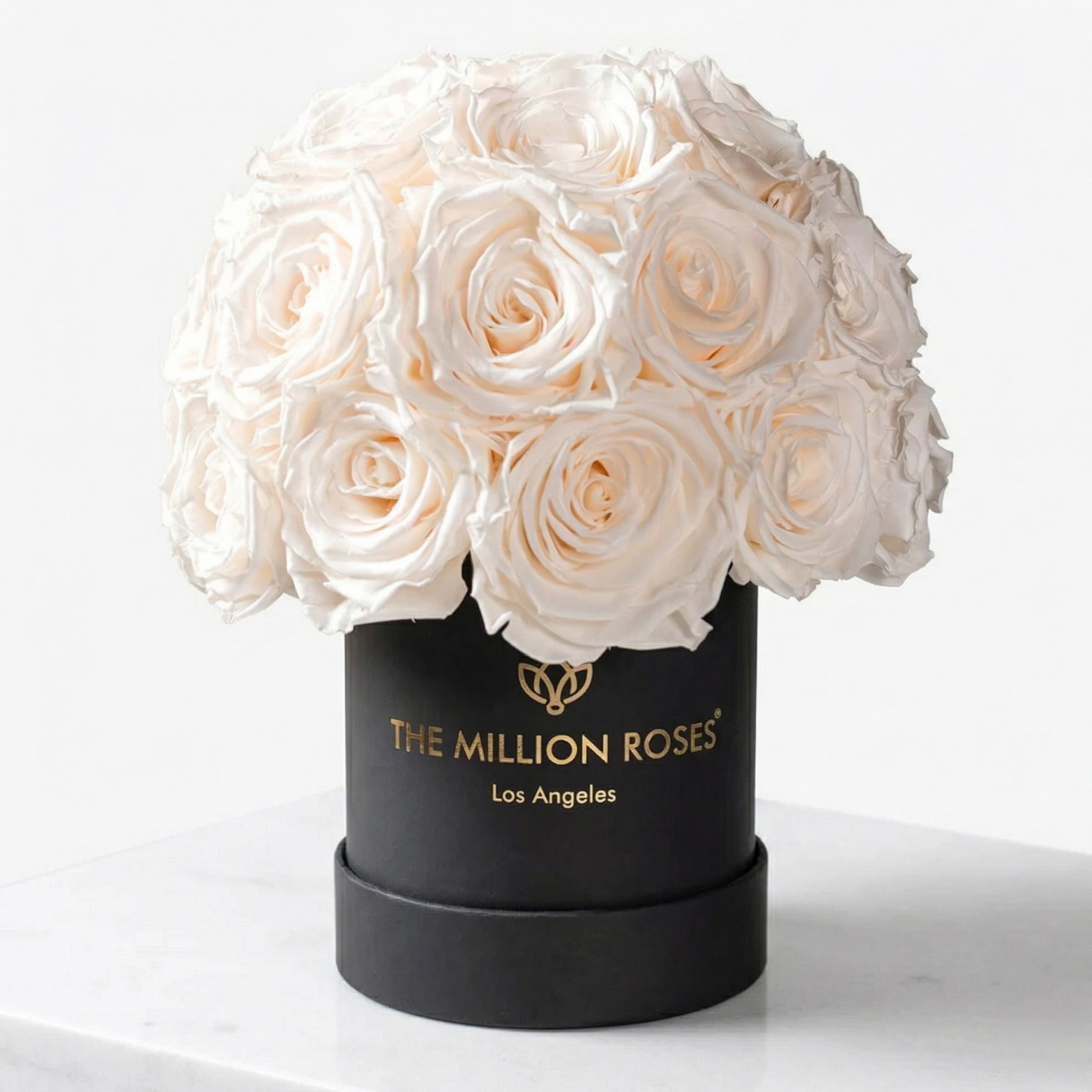 Basic Black Superdome Box | White Roses