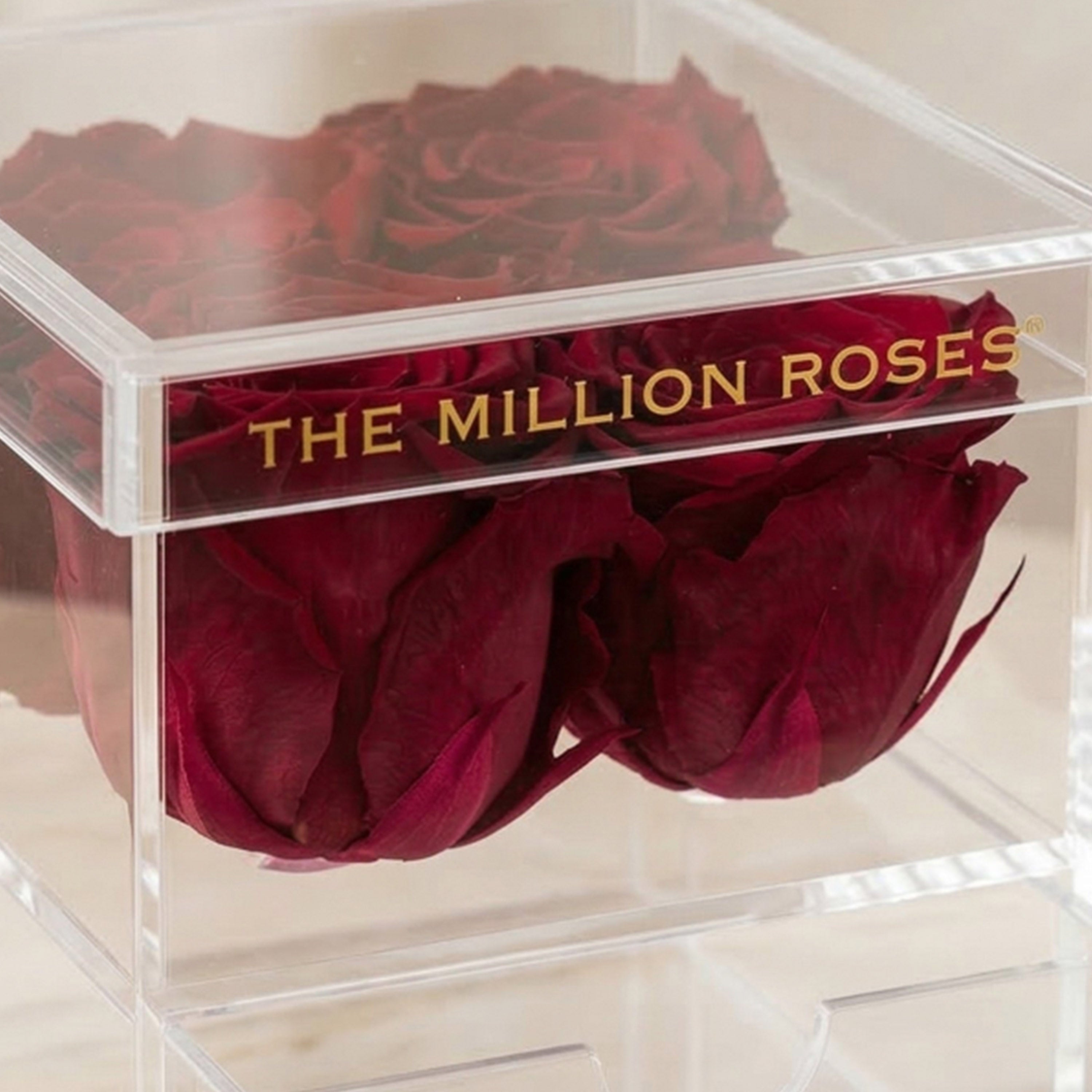 Acrylic 4 Drawer Box | Magenta Roses