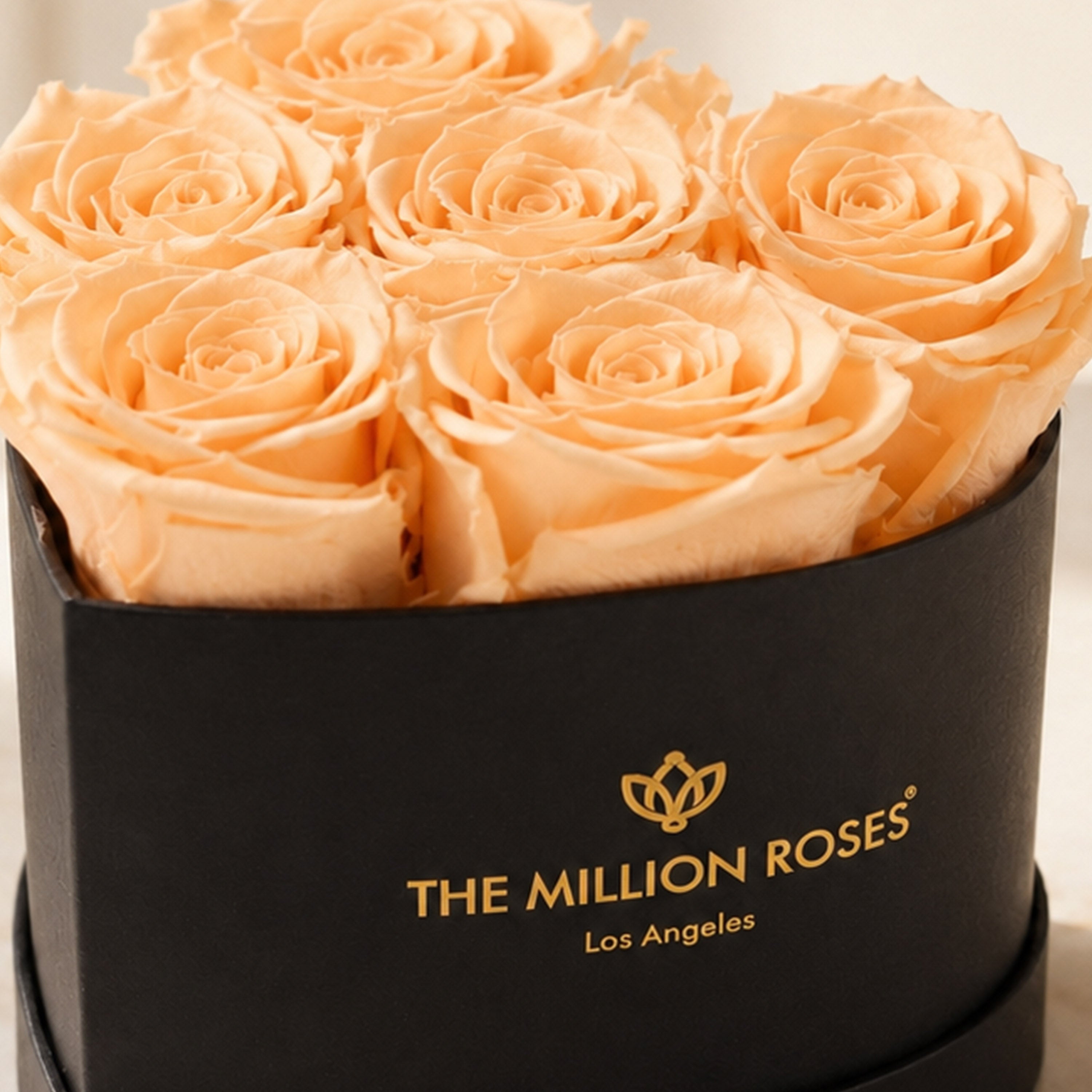 Baby Heart Black Box | Peach Roses