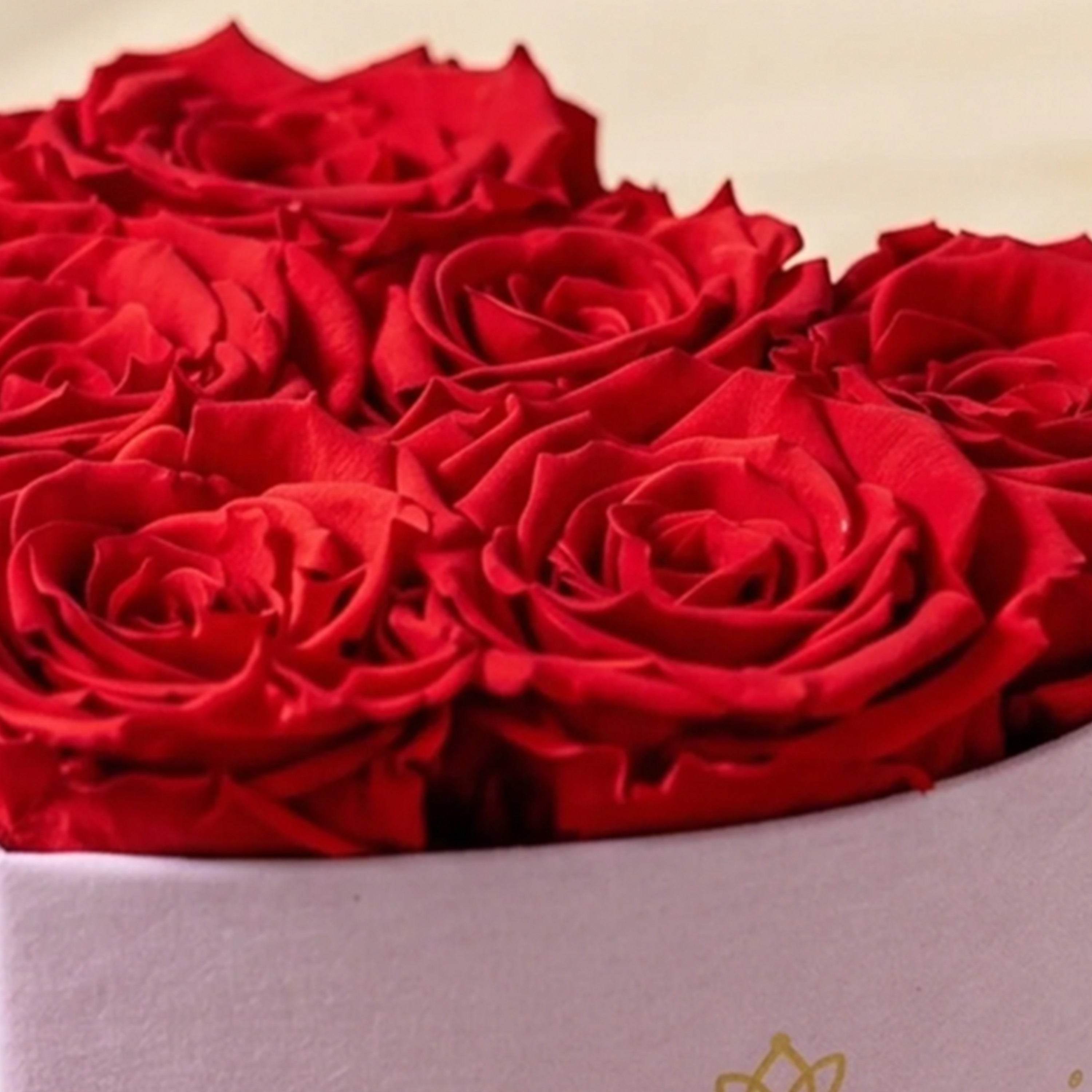 Baby Heart Light Pink Suede Box | Red Roses