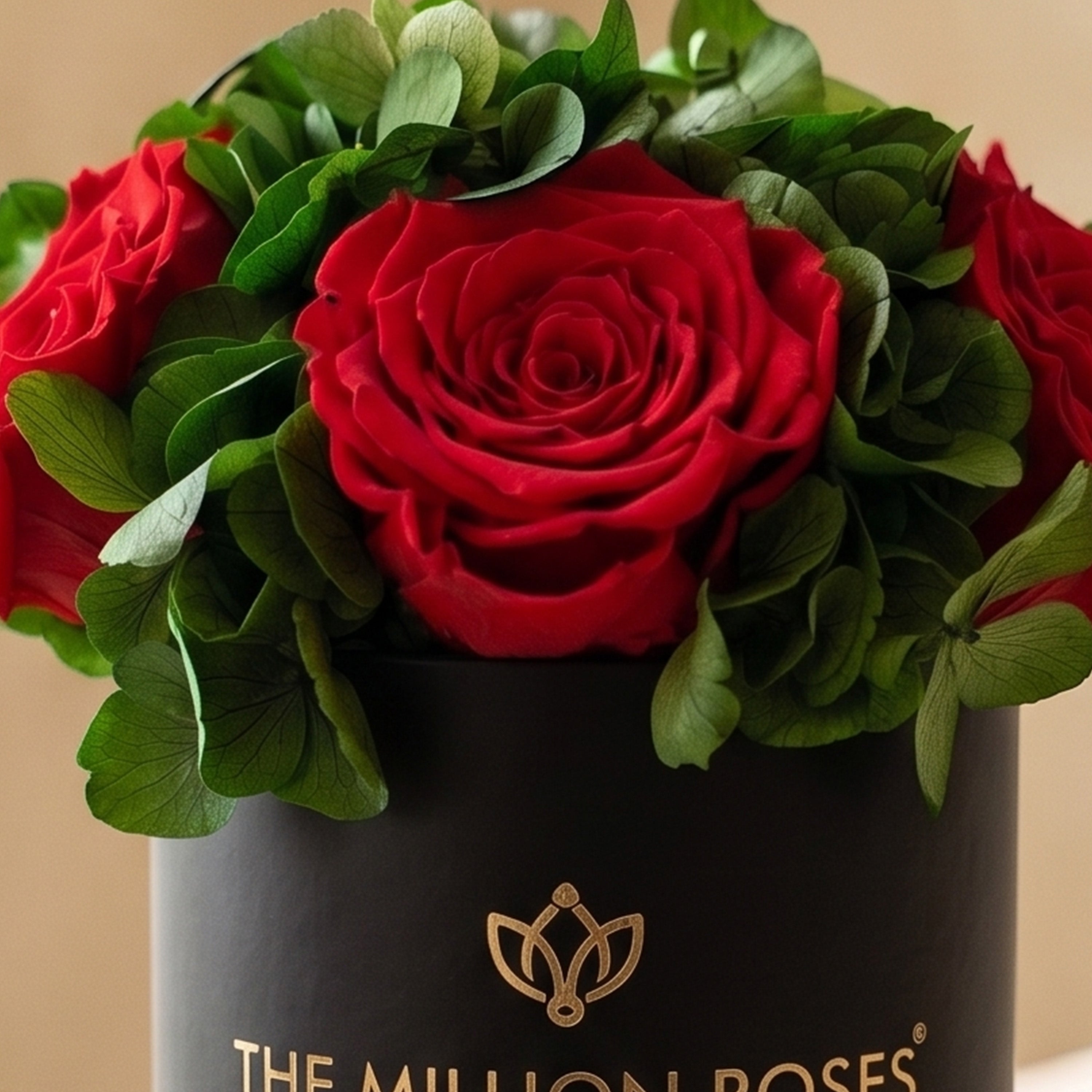 Basic Black Garden Box | Red Roses