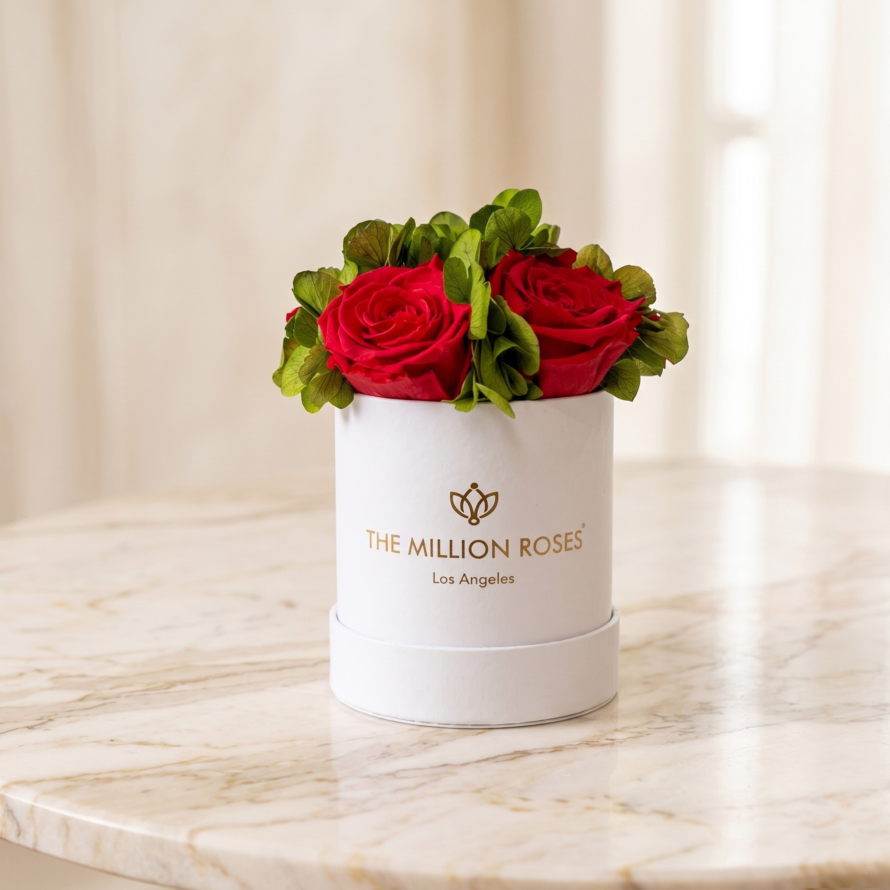 Basic White Garden Box | Red Roses