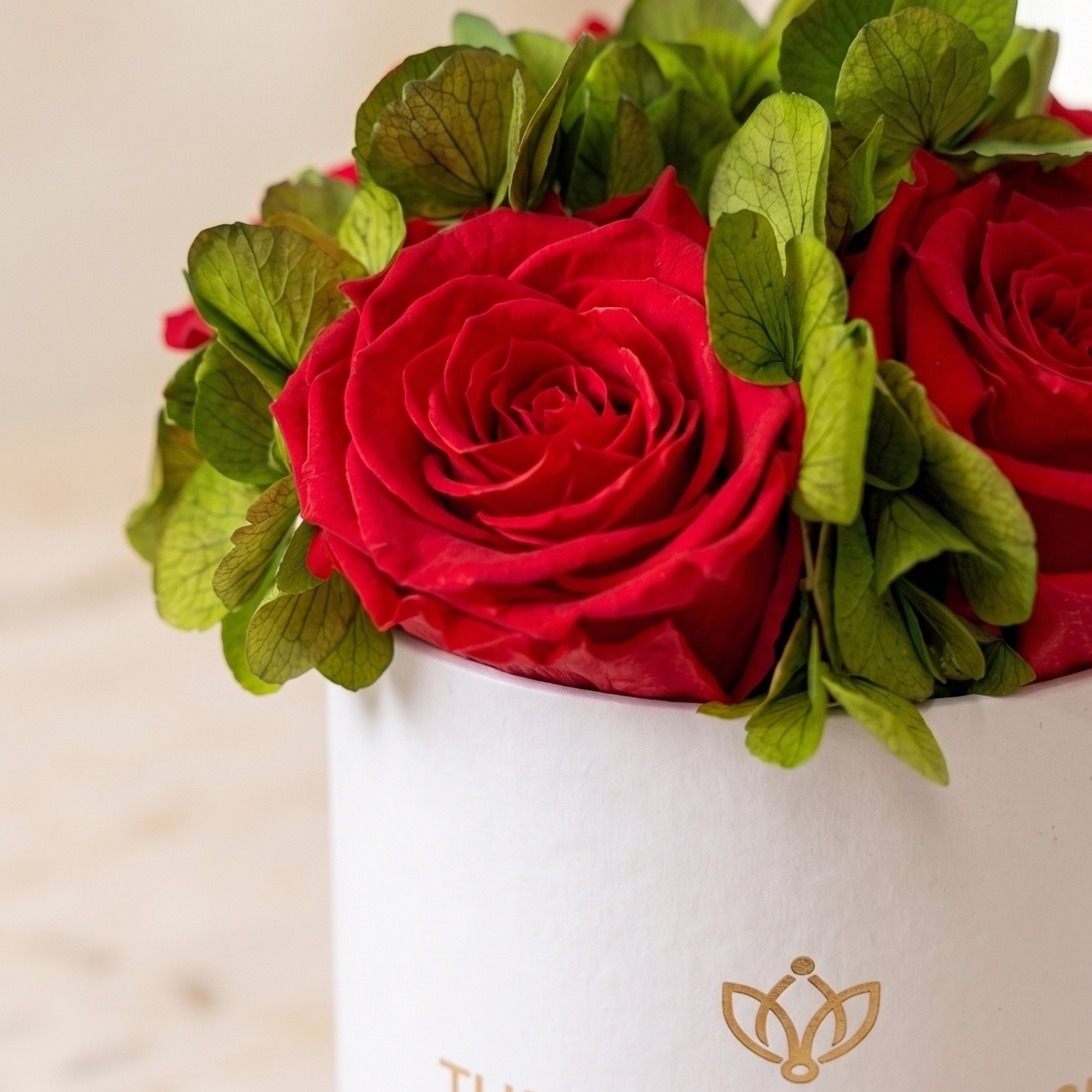 Basic White Garden Box | Red Roses