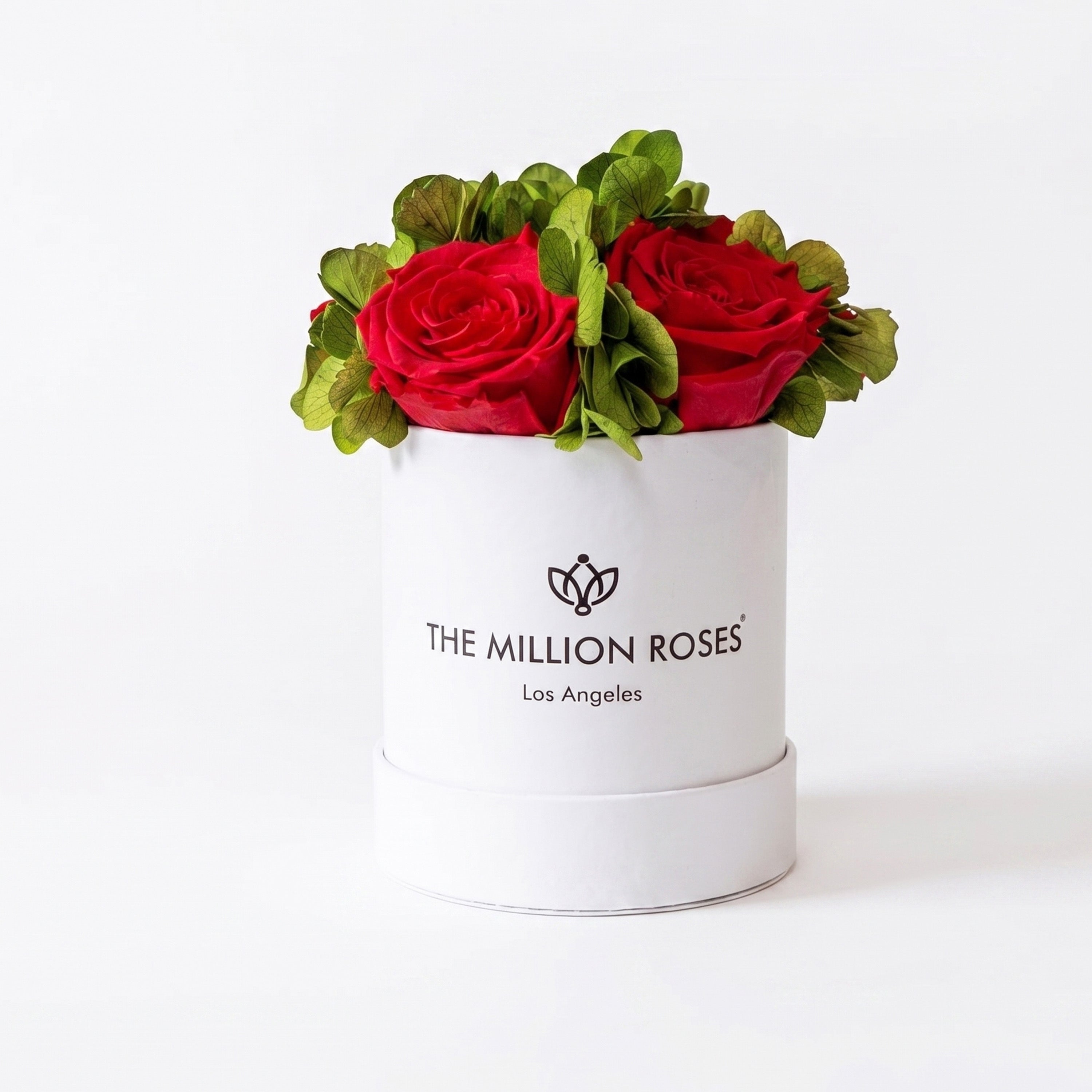 Basic White Garden Box | Red Roses