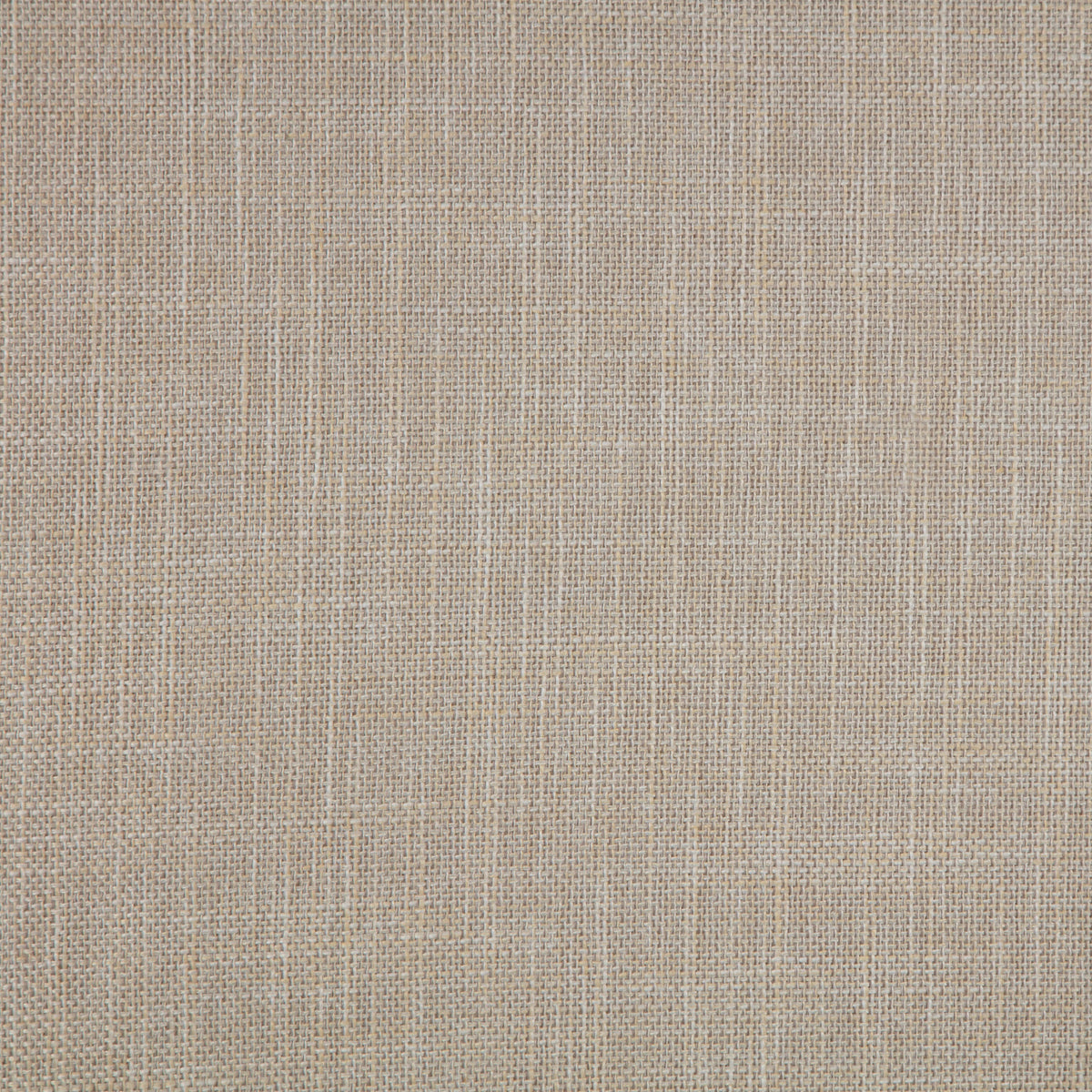 Bexhill 56-inch Upholstered California King Panel Bed White