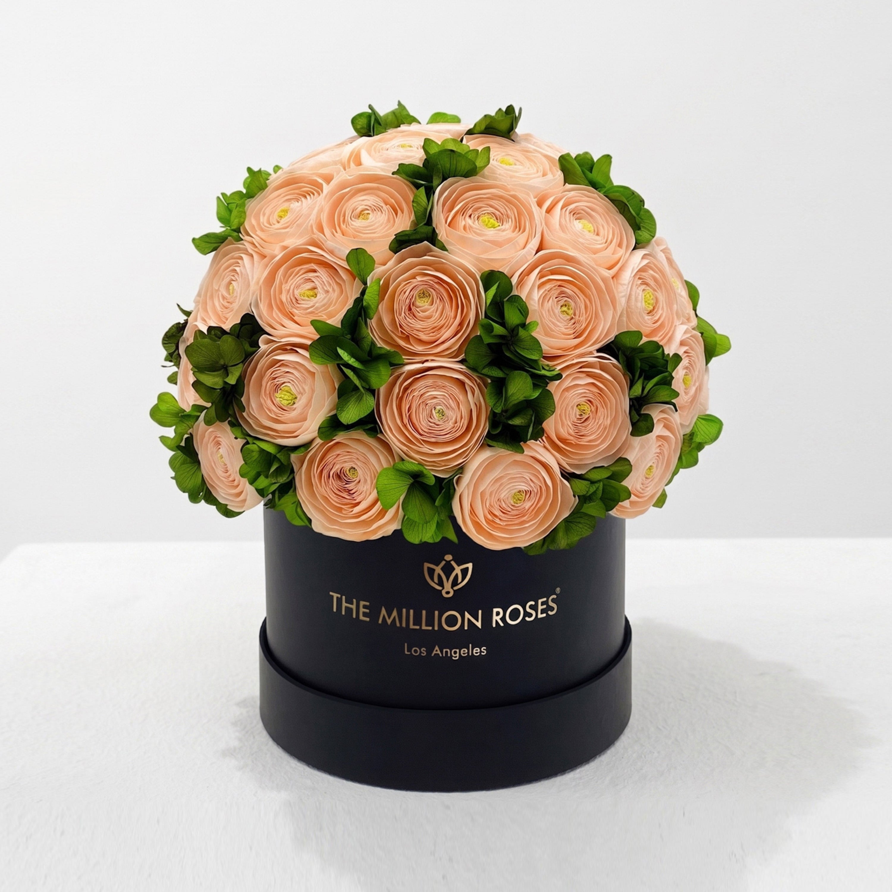 Classic Black Box | Peach Persian Buttercups & Green Hydrangeas