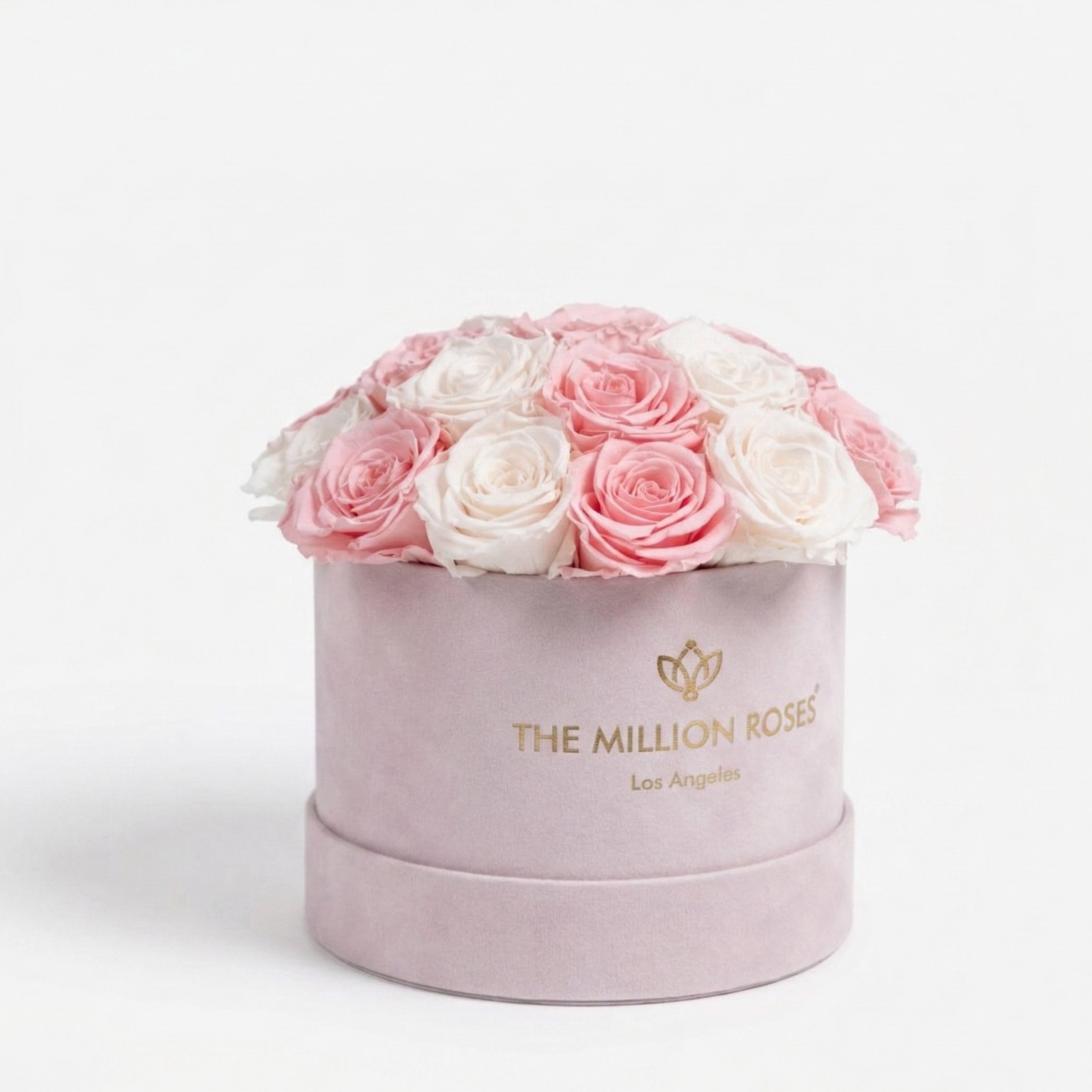 Classic Light Pink Suede Dome Box | White & Pink Roses