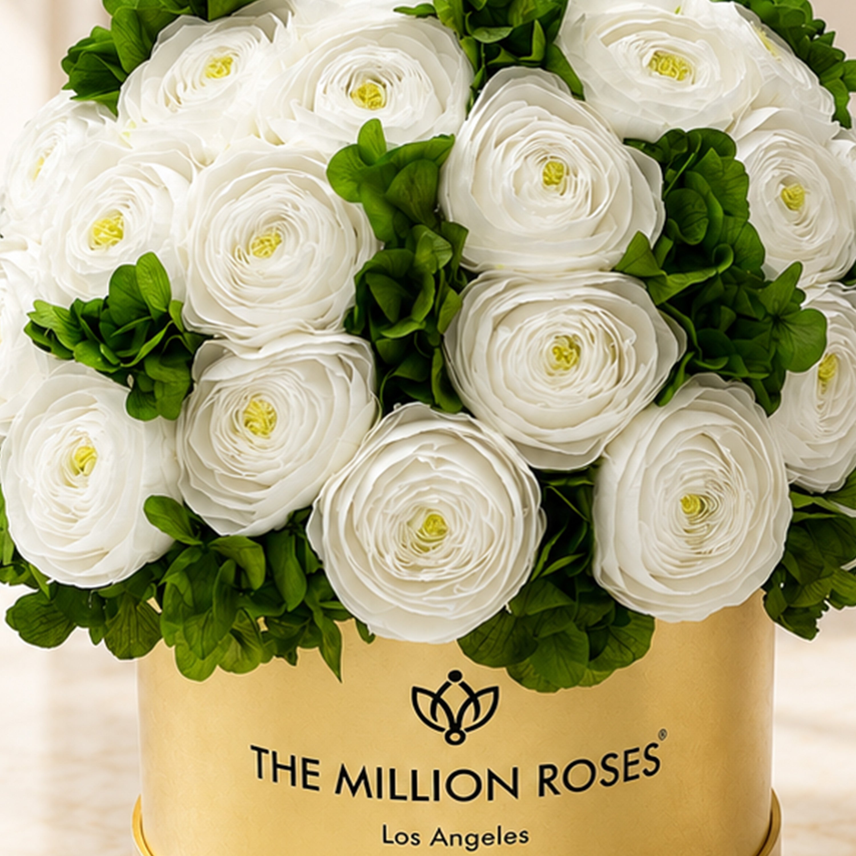 Classic Mirror Gold Box | White Persian Buttercups & Green Hydrangeas