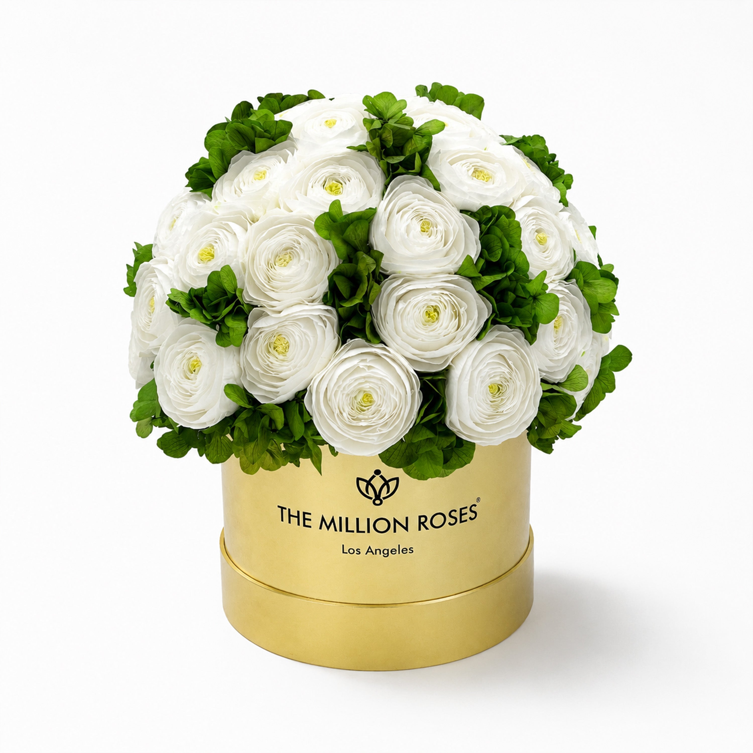Classic Mirror Gold Box | White Persian Buttercups & Green Hydrangeas