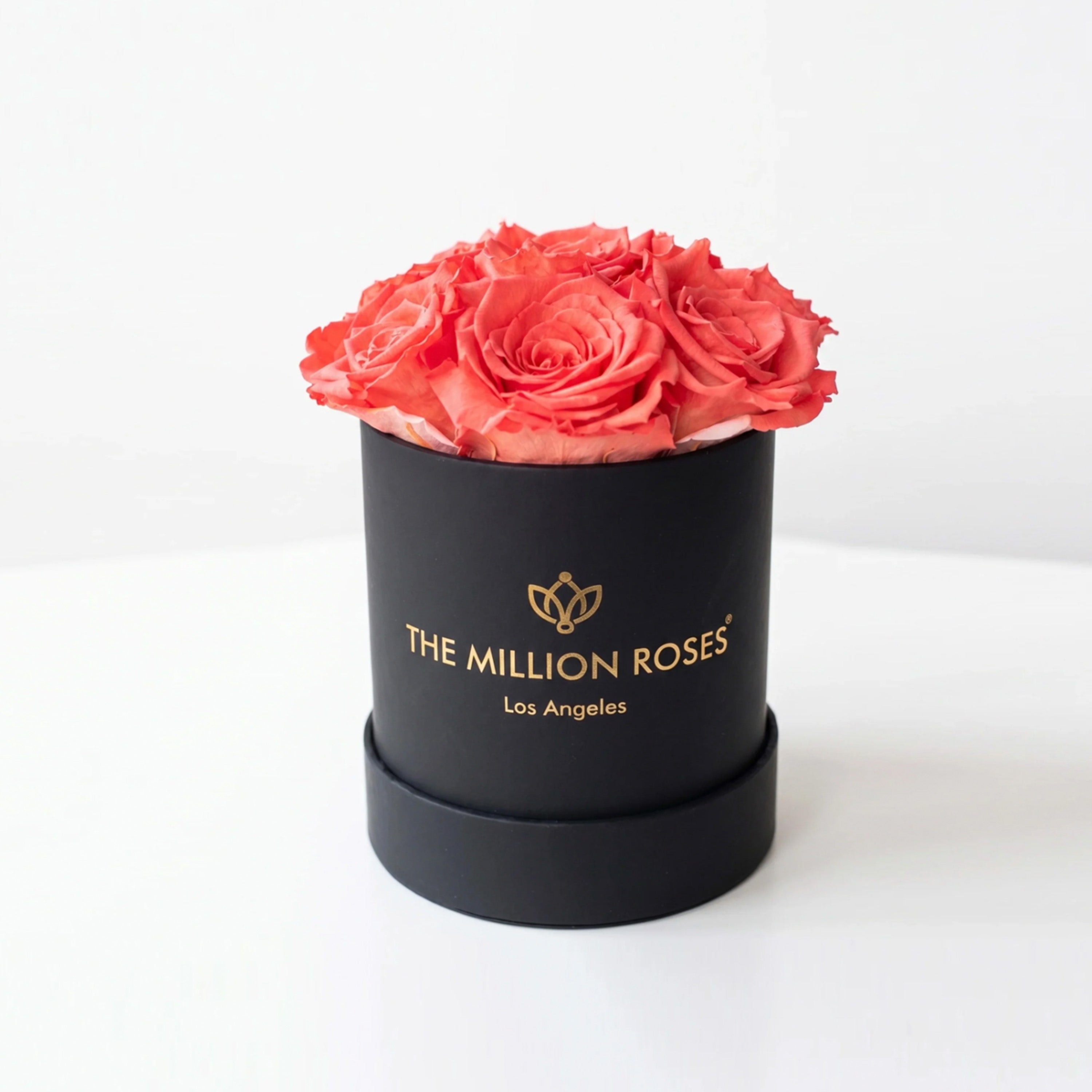 Essence Black Box | Coral Roses