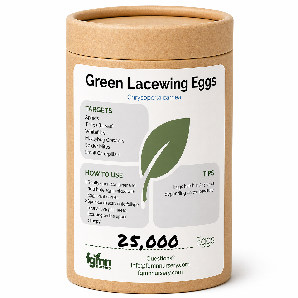 Green Lacewing Eggs
