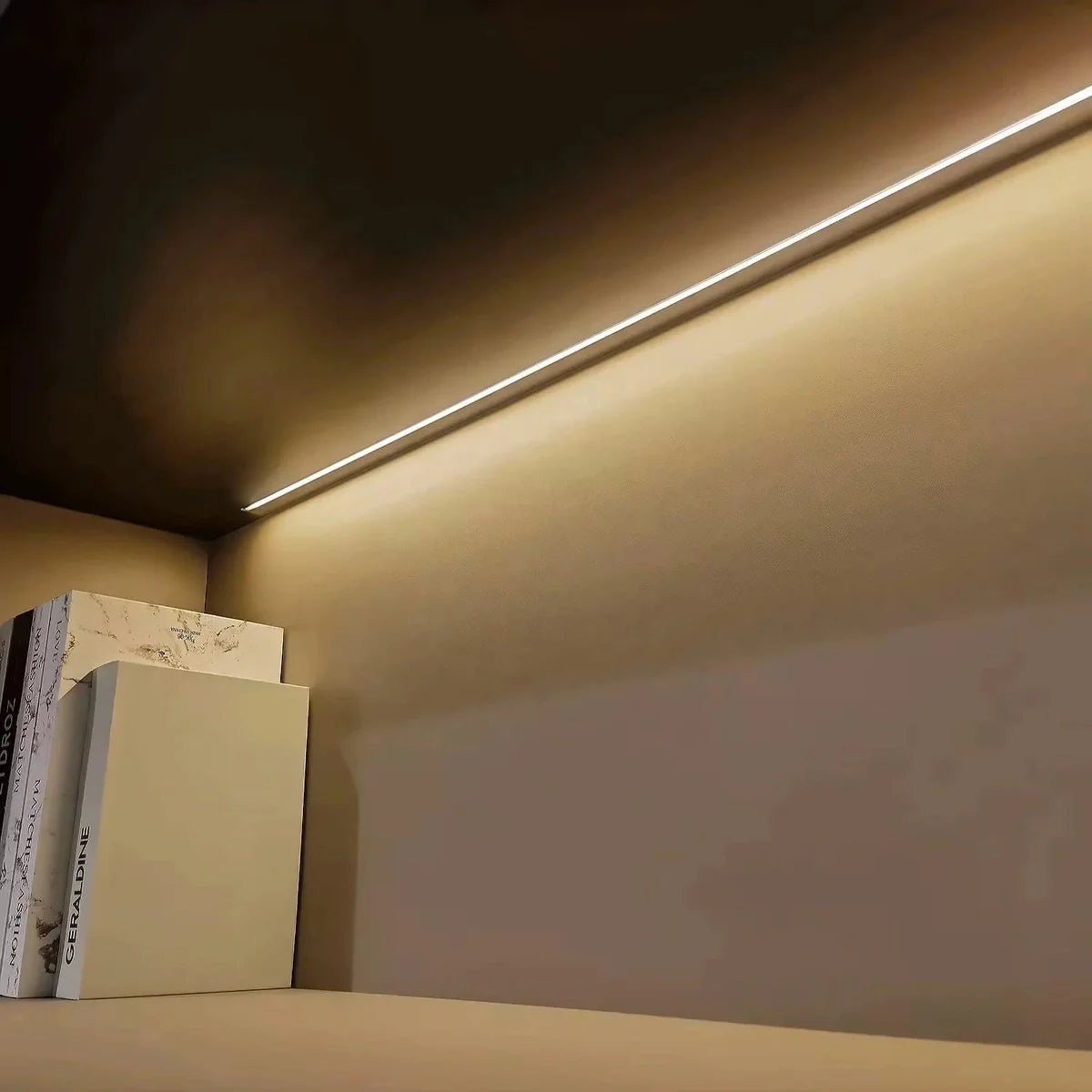 Harbord · Modern Office Shelves w/ Lighting, Storage
