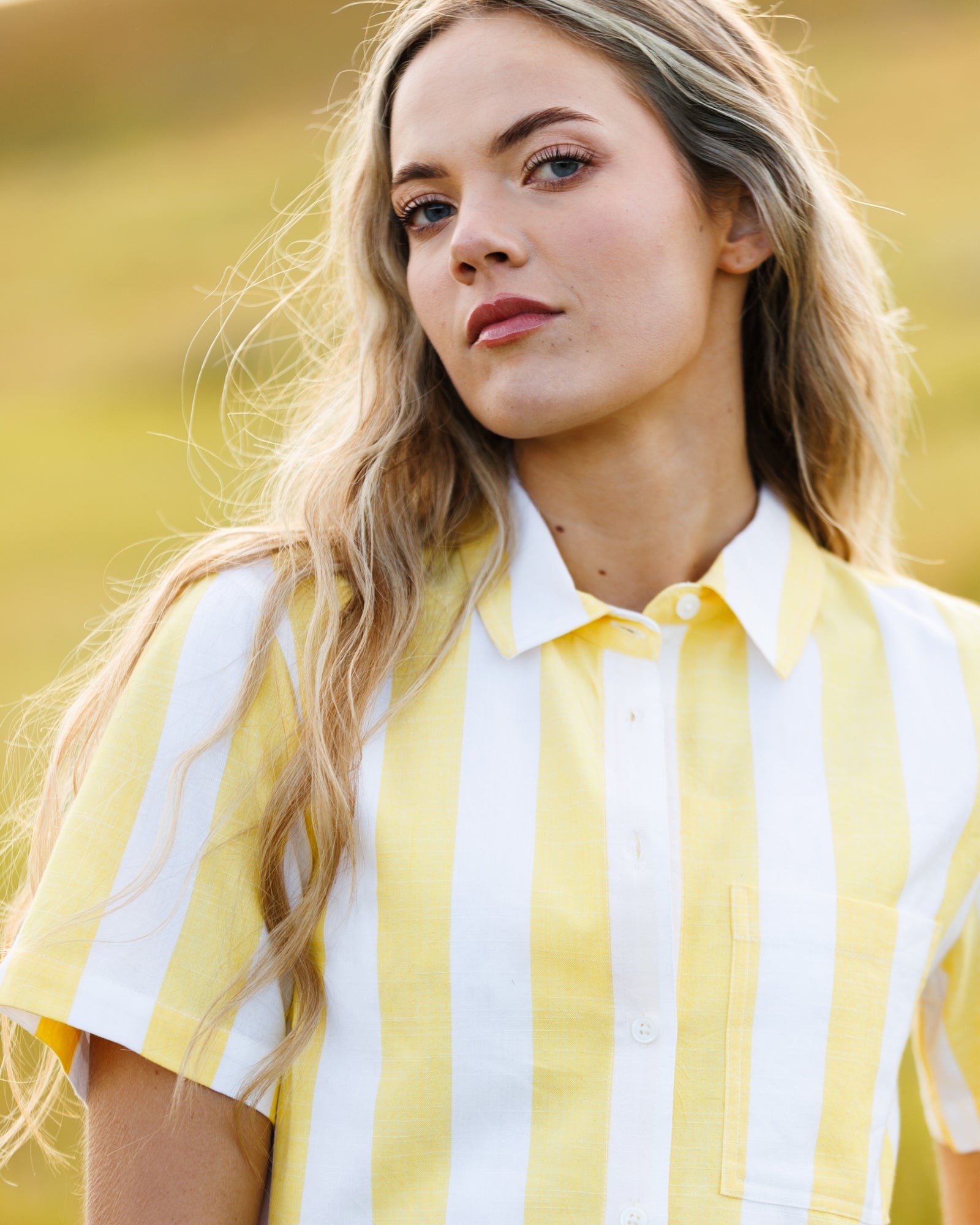Lemonade Stand Top