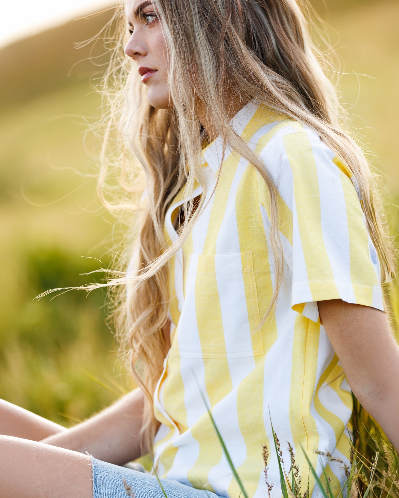 Lemonade Stand Top