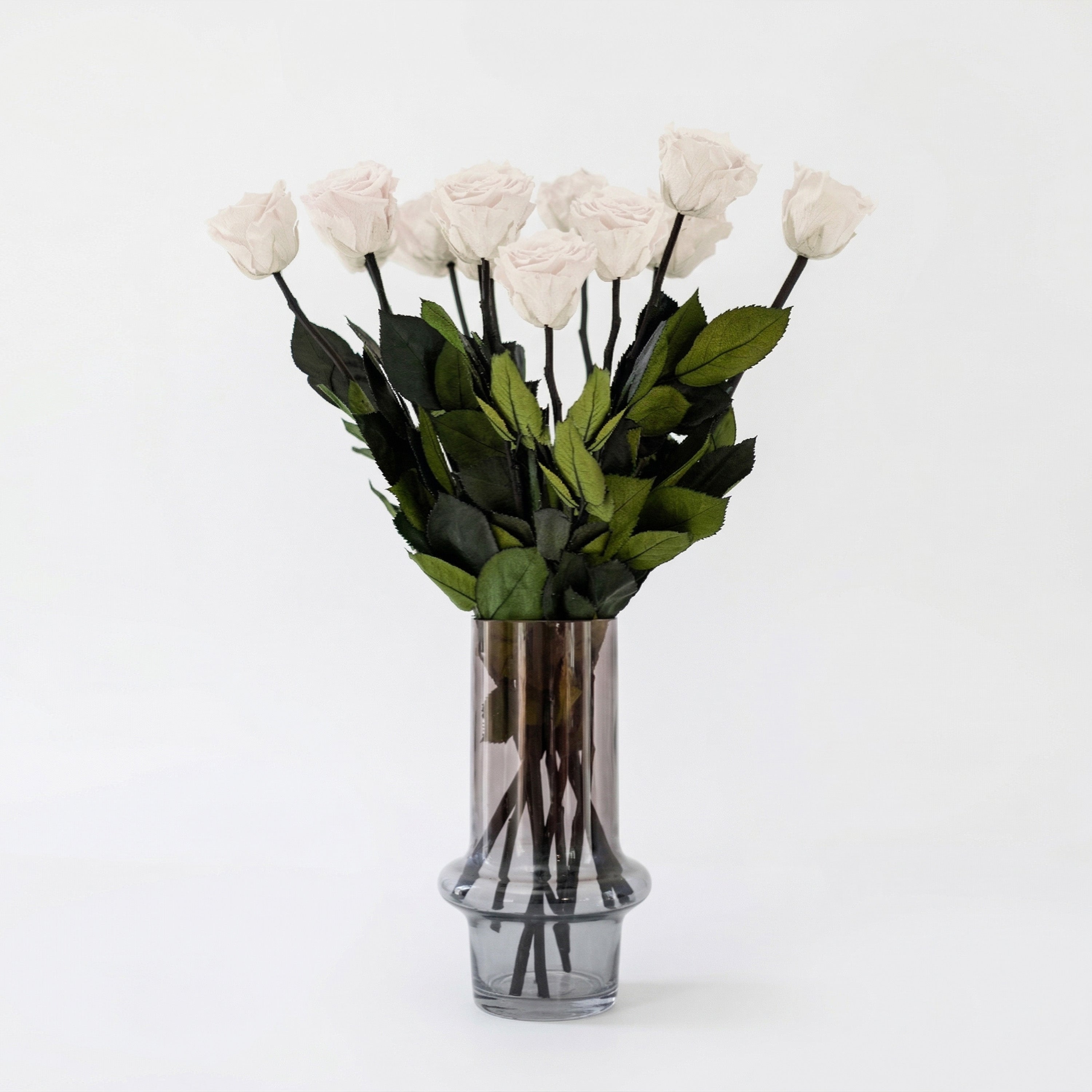 Long Stem Roses | White Roses
